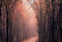 某政府官网首页